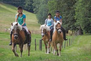 three people riding on horses in a field at Landgasthof Cafe Gut Ahe in Kirchhundem