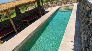 a swimming pool with some chairs and some water at Eagle Nest lake Natron Lodge in Mtowabaga +44 photos