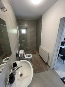a bathroom with a sink and a toilet at Casa Racolța Central Garden in Câmpia Turzii +26 photos