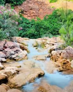 a stream of water with rocks and trees and bushes at Casa D' Familia in Alte
