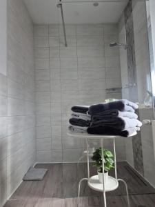 un bagno con doccia e porta asciugamani di House Eifelglück a Großlittgen Altre 37 foto