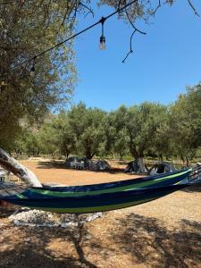 a hammock in a field with trees in the background at SeaGrove Camping in Himare