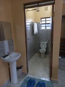 a bathroom with a sink and a toilet and a shower at Maria VillaSTUDIO2 in Voi