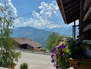 a house with a view of a road and mountains at Tessenberg Mountain Retreat in Heinfels