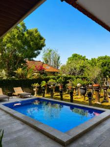 a swimming pool in the middle of a yard at Luling Guesthouse in Badung +7 photos