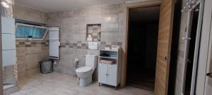 a bathroom with a toilet and a sink at Charmant studio à Castillon du Gard, à deux pas du Pont-du-Gard in Castillon-du-Gard +16 photos