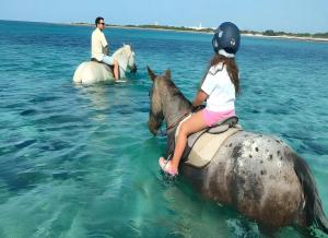 a young girl riding a horse in the water at Marea Blanca - Rooms & Garden in Torre Lapillo