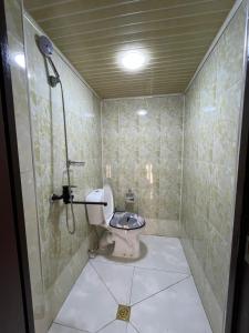 a bathroom with a toilet in a shower stall at Gostevoy dom Dovul in Chimgan +14 photos