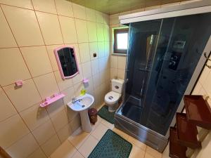 a small bathroom with a shower and a toilet at Shelest Vody in Russkaya Mokraya