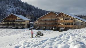 a ski lodge in the snow with snow covered at Les Fermes du Lac - Appt 10A in Gérardmer