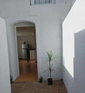 a white hallway with a potted plant in it at Oro y Miel II en pleno centro de Chascomús in Chascomús