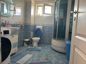 a bathroom with a toilet and a sink and a shower at Vila Nana in Râmnicu Vâlcea +74 photos