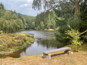 a bench sitting in front of a river at Clairbois in Gérardmer