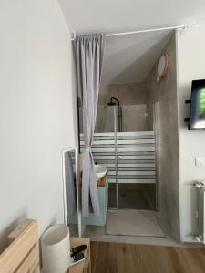 a bathroom with a shower with a sink and a toilet at המקום של נטע in Mitzpe Hila +45 photos