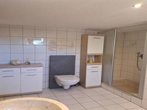 a bathroom with a toilet and a sink and a shower at Ferienwohnung Waldoase  +8 photos