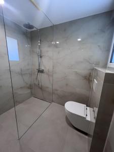 a bathroom with a toilet and a glass shower at Ferienwohnung Casa Panorama in Beuren +8 photos