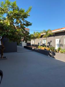 a courtyard with a tree and a building at Villa Hotel in Bom Jesus da Lapa