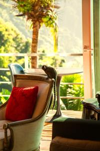 a bird sitting on the back of a chair with a red pillow at La Suite by Dussol in Rio de Janeiro +23 photos