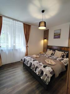 a bedroom with a large bed and a large window at David Apartament in Hunedoara