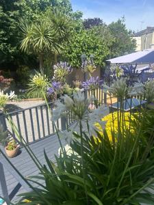 a garden with flowers and a wooden bench at The Millbrook B&B in Torquay