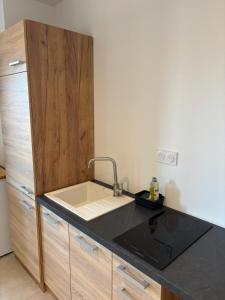 a kitchen with a sink and a counter top at Studio Cocon & Bulle in La Côte-Saint-André +10 photos