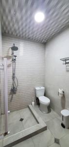 a bathroom with a toilet and a shower in it at Mtskheta Pool and Veranda in Tsitsamuri
