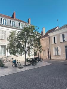 a group of bikes parked under a tree on a street at Duplex Charme & Fleurs, vue Cathédrale in Chartres