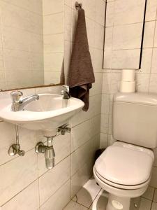 a bathroom with a white toilet and a sink at Belga Apartment 3 bedrooms. in Antwerp