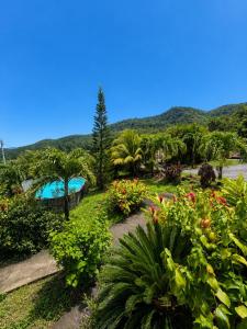 a garden with flowers and a swimming pool at Gîte Avocatier - Villa Marina in Bouillante