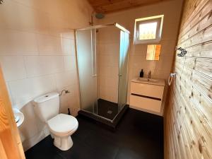 a bathroom with a shower and a toilet and a sink at Willa Aleksander in Rewal