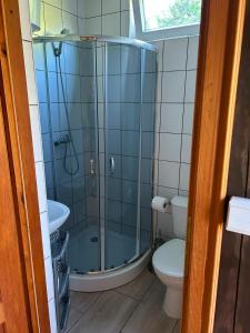 a bathroom with a shower and a toilet at Domki na Wyspie Anna in Gdańsk