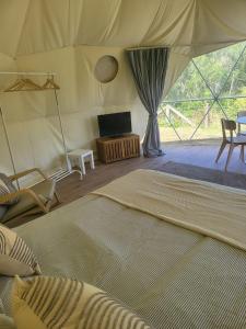 a bedroom with a bed and a tv in a tent at Pen-Y-Fan Glamping - Luxury Geodomes in Sennybridge
