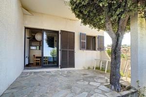a tree in front of a house with a patio at Beautiful 40 M2 With Pool Near The Beach! in Grosseto-Prugna +3 photos