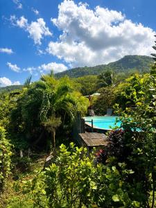 a resort with a pool and mountains in the background at Gîte Bananier - Villa Marina in Bouillante +4 photos