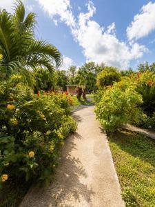 a path through a garden with flowers and plants at Gîte Bananier - Villa Marina in Bouillante