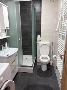 a bathroom with a toilet and a shower and a sink at Apartman Lala in Sarajevo +22 photos