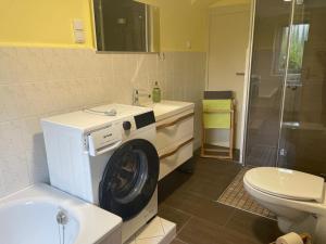 a bathroom with a washing machine next to a toilet at Am Holundergrund in Kurort Gohrisch