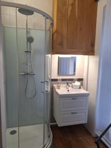 a bathroom with a shower and a sink at Chambre d'hôtes du Château de Digeon in Morvillers-Saint-Saturnin