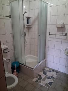 a bathroom with a shower and a toilet at Penzion Krušnohorka in Tatrovice