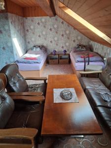 a living room with a couch and a table at Penzion Krušnohorka in Tatrovice +18 photos