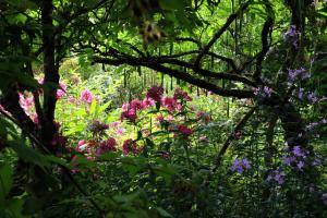 a garden with pink flowers and trees at Chambre d'hôtes du Château de Digeon in Morvillers-Saint-Saturnin
