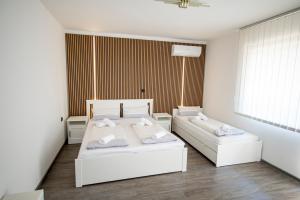 a bedroom with two beds and a window at Guesthouse Siva Čaplja in Ptuj