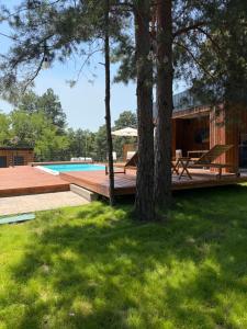 a backyard with a swimming pool and a house at Villa Ruj Retreat Deliblatska Peščara in Šumarak