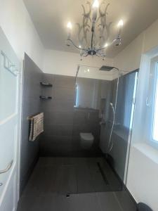 a bathroom with a toilet and a chandelier at Historic Charm Apartment Bayreuth in Bayreuth