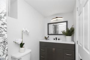 a bathroom with a sink and a toilet and a mirror at Bright 2 Bedroom Suite in Windsor