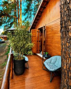 a wooden deck with a chair and a tree at Chalé Veraneio-Itú-SP Vista para o lago Camping Carrion in Itu