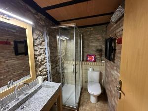 a bathroom with a shower and a toilet and a sink at Era Cal Anton in Alás +81 photos