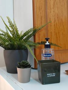 a bathroom counter with a bottle of soap and plants at Vivari apartment in Vivari