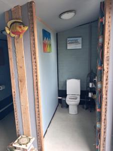 a bathroom with a toilet and a mirror at The Old Waterworks - Saturn 6m bell tent in Clare