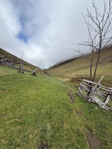 an old fence in a field with a tree at La escapada in Felechosa +9 photos